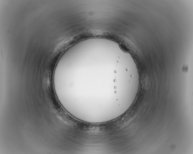 X0000089830740200707262023