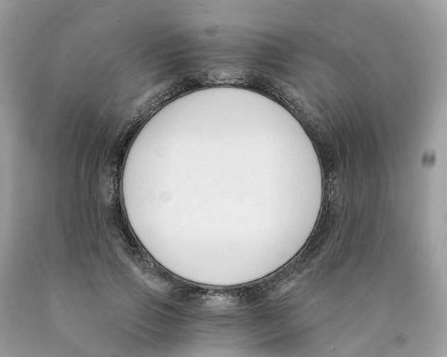 X0000089830741200707262023