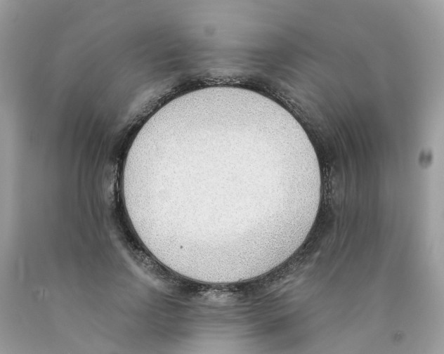 X0000089830742200707262023