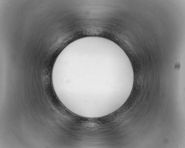 X0000089830743200707262023