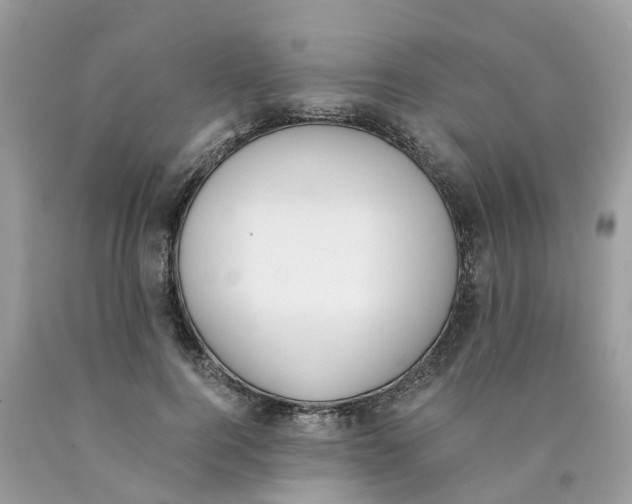 X0000089830744200707262023