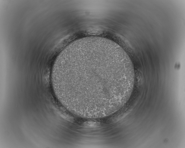 X0000089830745200707262023