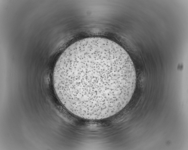 X0000089830746200707262023