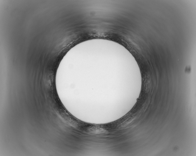 X0000089830747200707262023