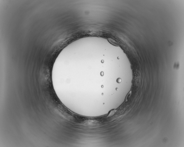 X0000089830748200707262023