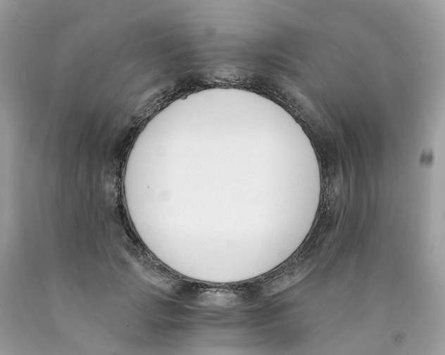 X0000089830749200707262023