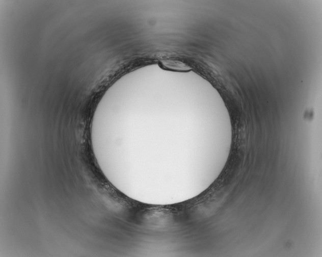 X0000089830750200707262023