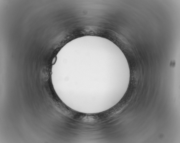 X0000089830751200707262023
