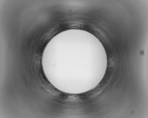 X0000089830753200707262023