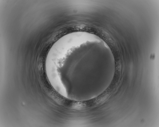 X0000089830754200707262023
