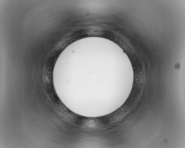 X0000089830755200707262023