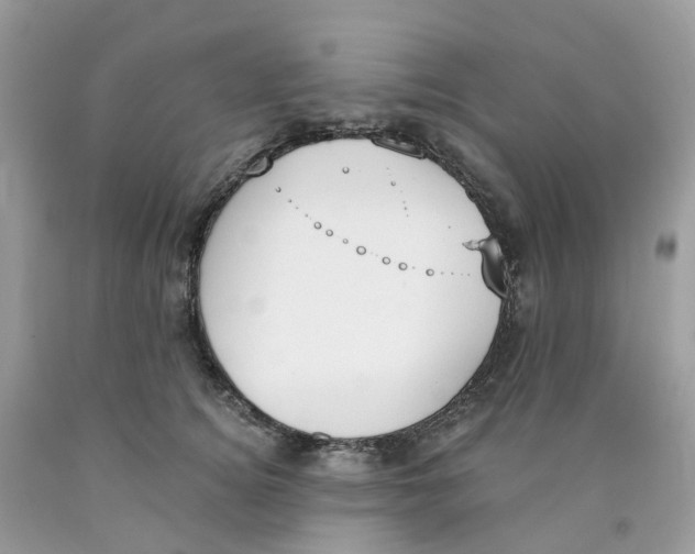 X0000089830756200707262023