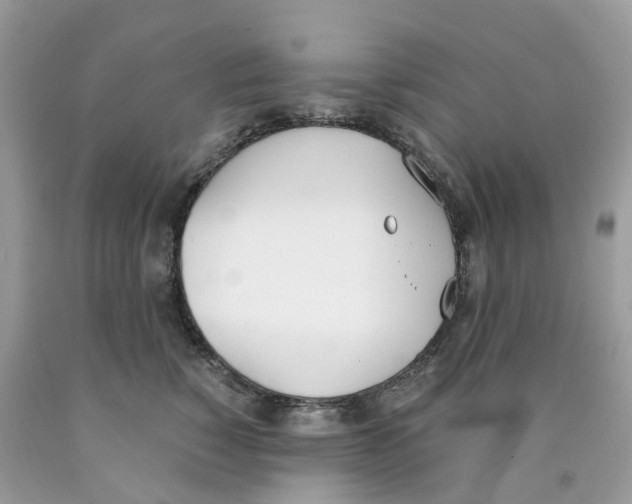 X0000089830760200707262023
