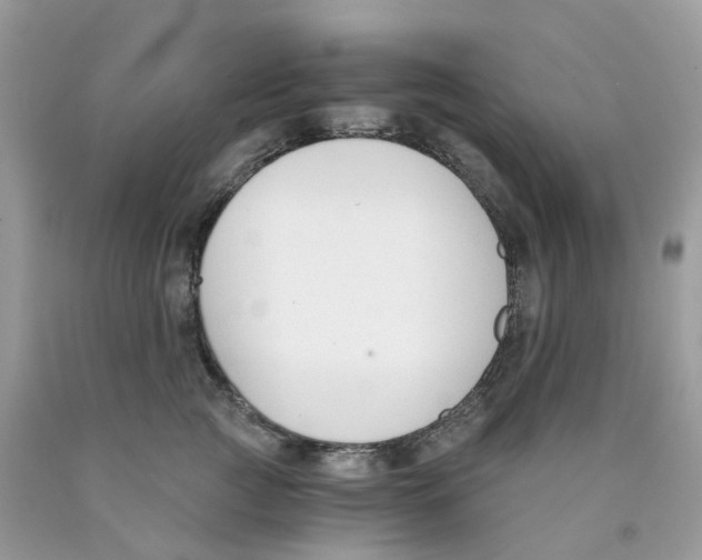 X0000089830761200707262023