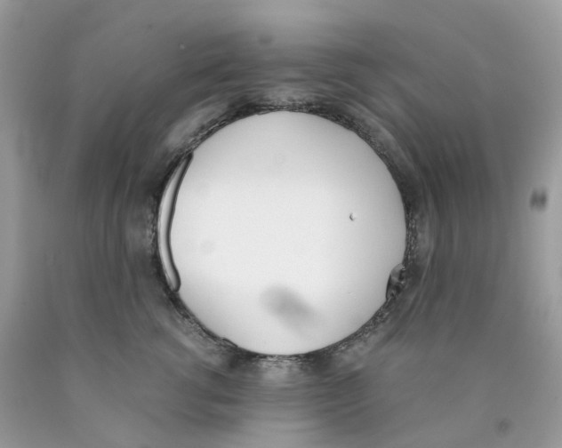 X0000089830762200707262023