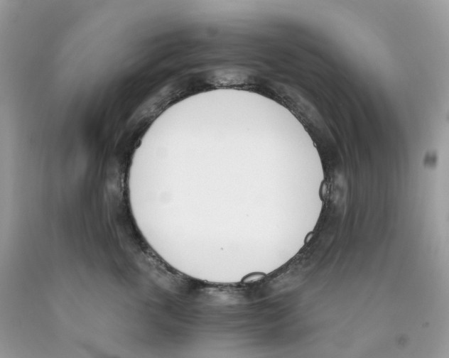 X0000089830763200707262023