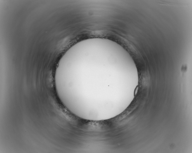 X0000089830764200707262023