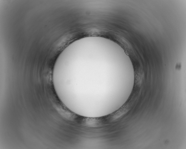 X0000089830766200707262023