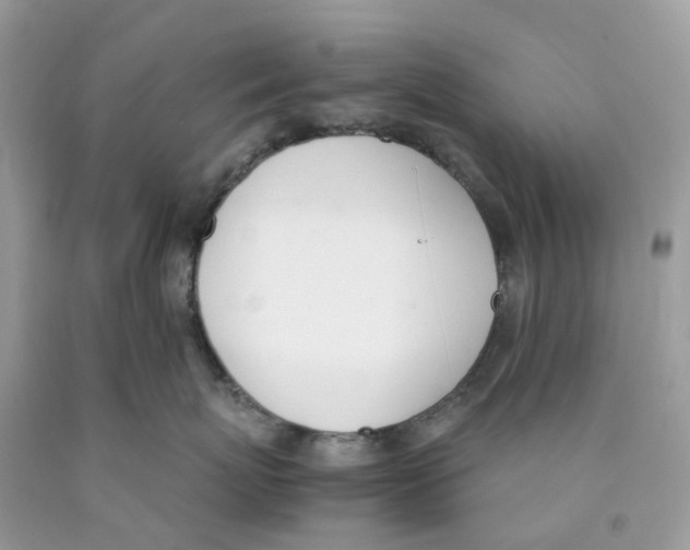 X0000089830767200707262023
