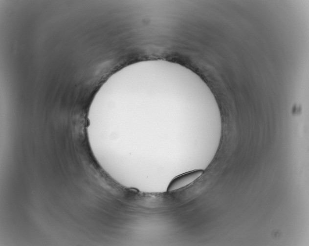 X0000089830768200707262023