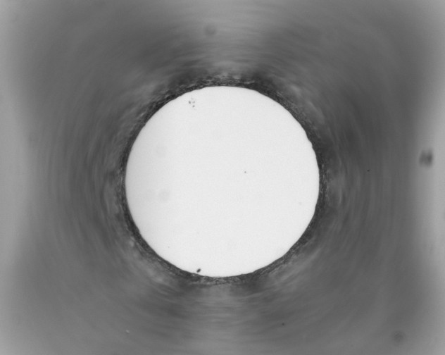 X0000089830769200707262023