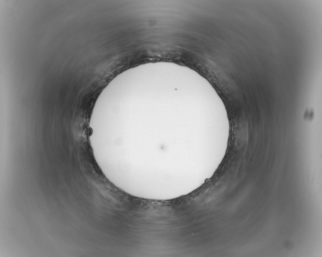 X0000089830770200707262023