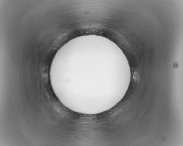 X0000089830771200707262023