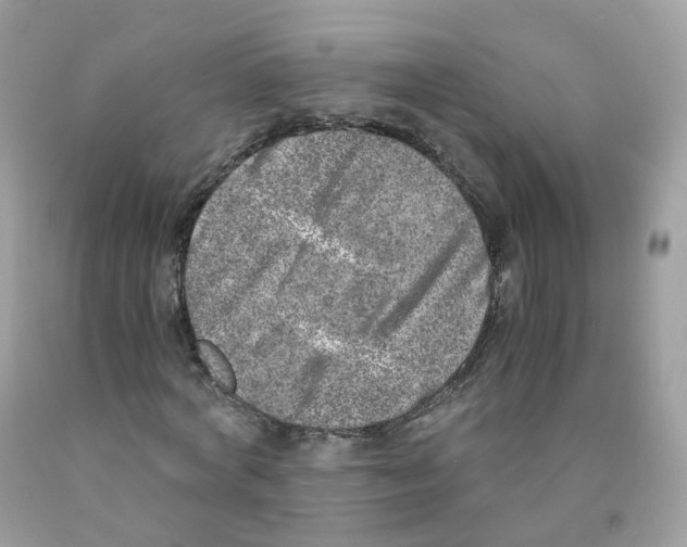 X0000089830772200707262023