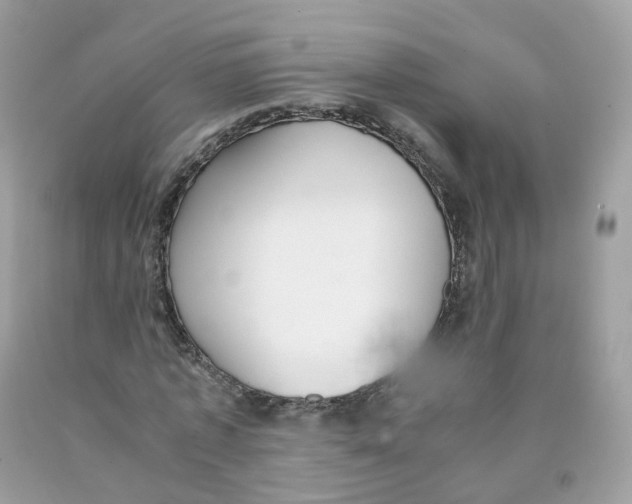 X0000089830773200707262023