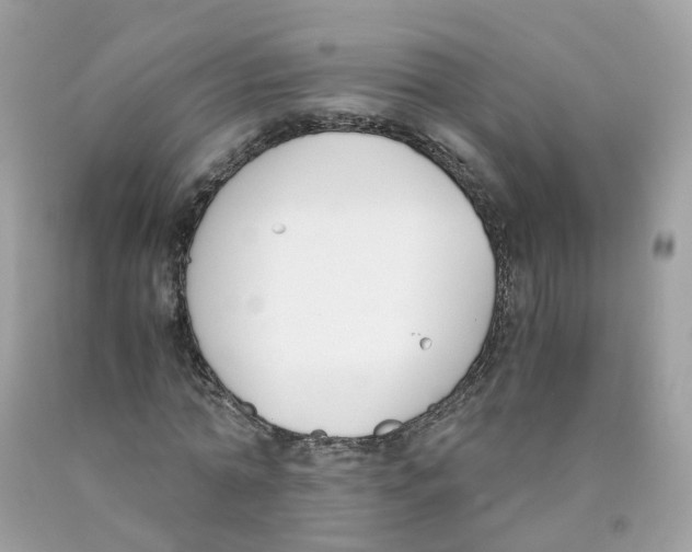 X0000089830774200707262023