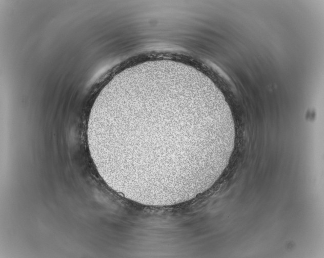 X0000089830775200707262023