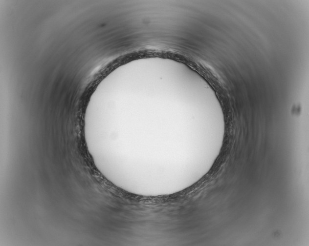 X0000089830776200707262023
