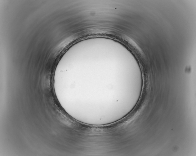 X0000089830777200707262023