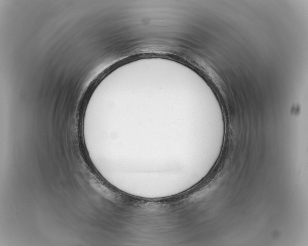 X0000089830779200707262023