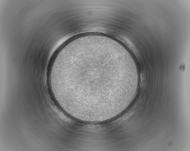 X0000089830780200707262023