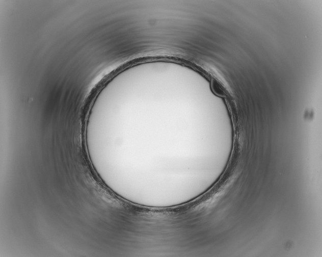 X0000089830781200707262023