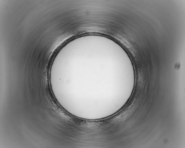 X0000089830782200707262023
