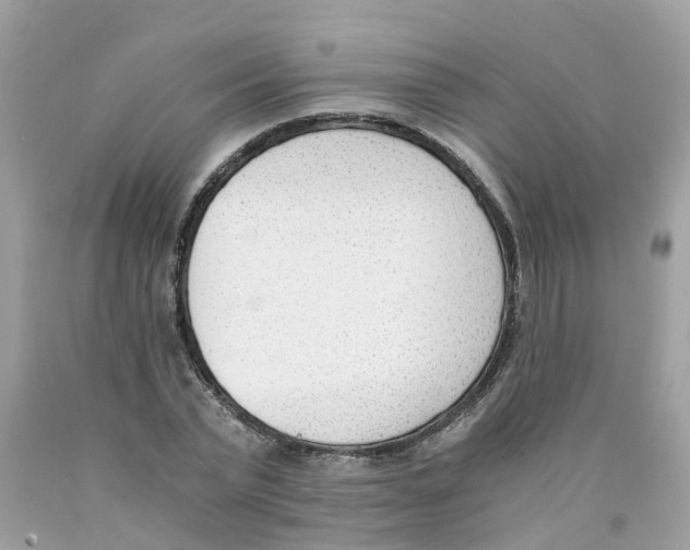 X0000089830783200707262023