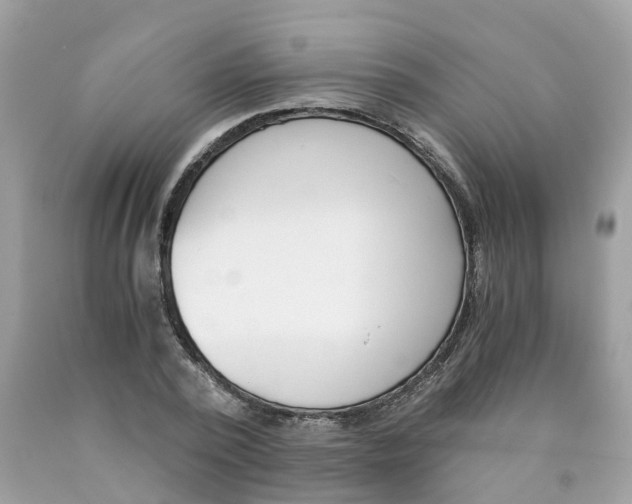 X0000089830784200707262023