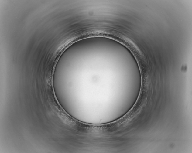 X0000089830785200707262023