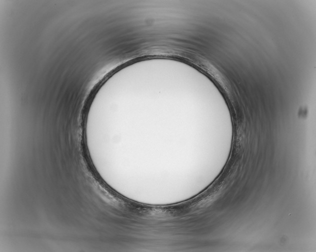 X0000089830787200707262023