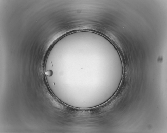 X0000089830789200707262023
