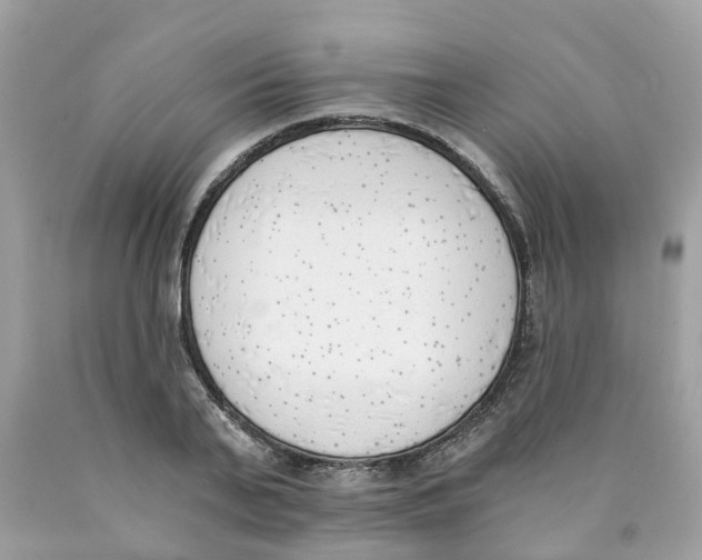 X0000089830791200707262023