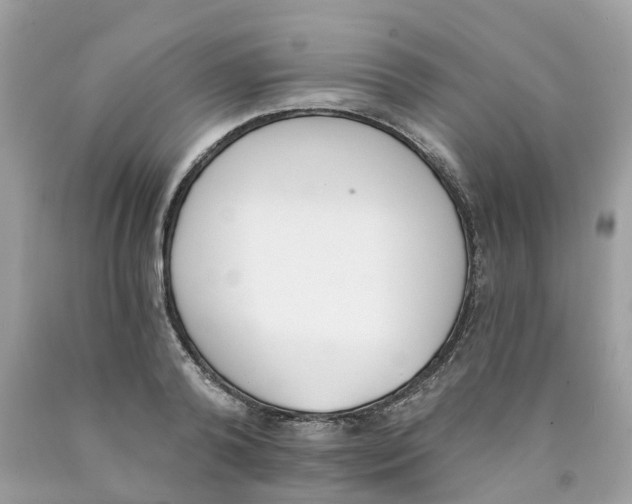 X0000089830792200707262023