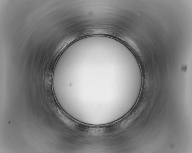 X0000089830793200707262023