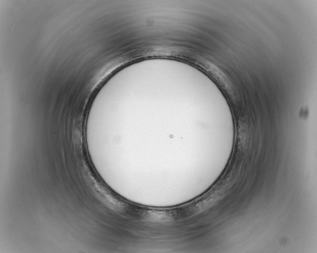 X0000089830794200707262023