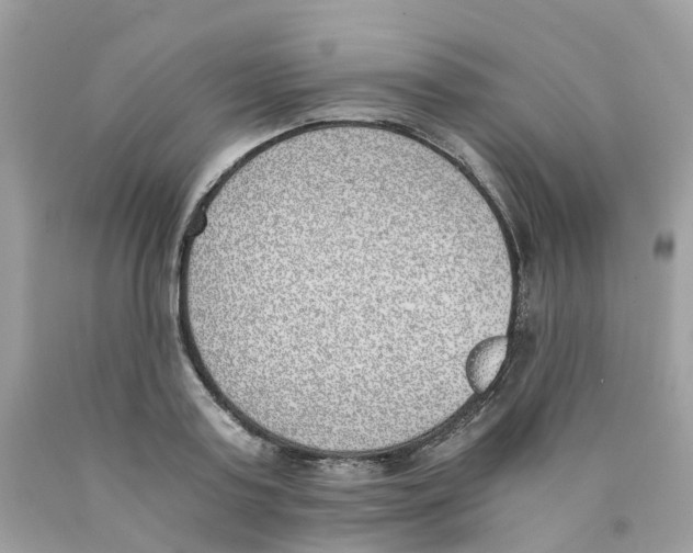 X0000089830795200707262023