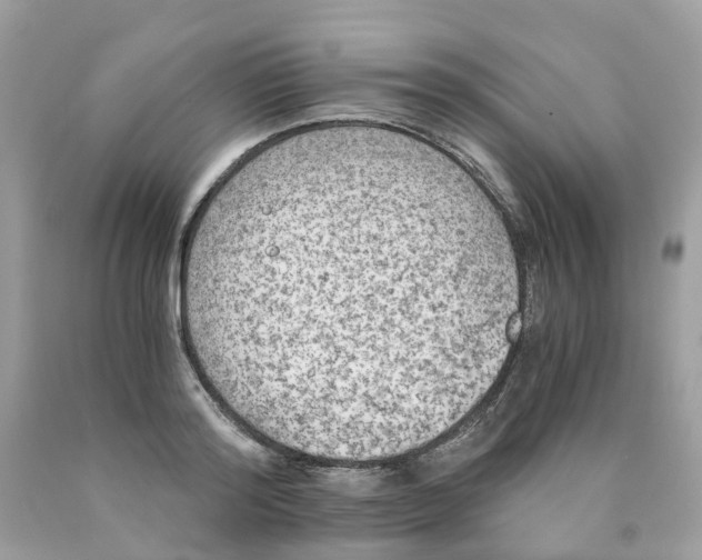 X0000089830796200707262023