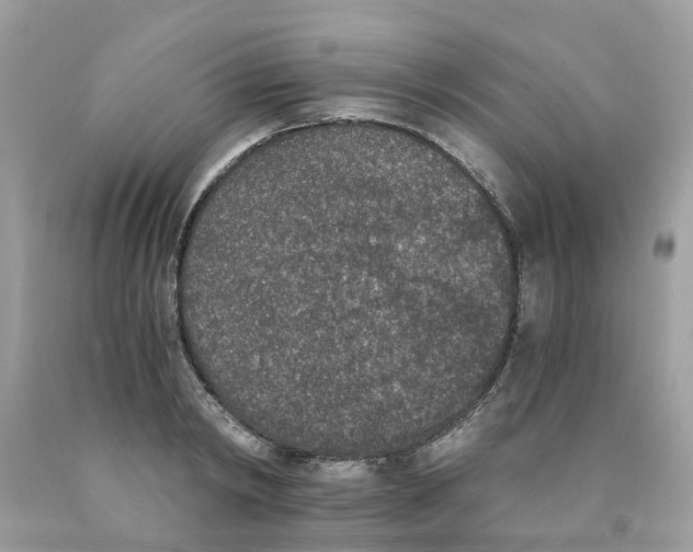 X0000089830798200707262023