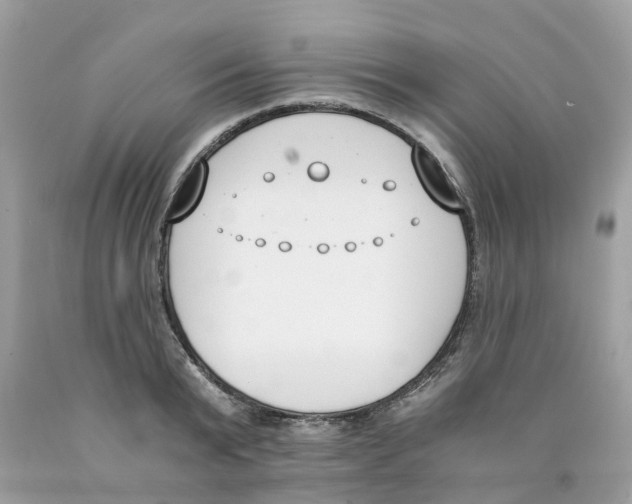 X0000089830799200707262023
